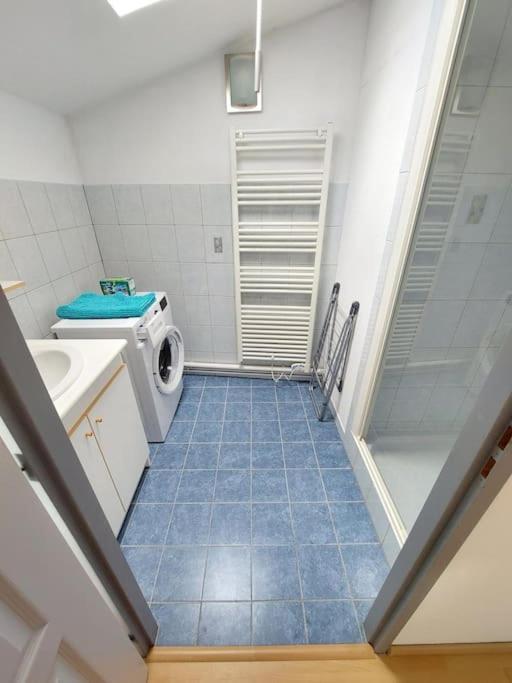 Appartement Chaleureux Ремірмон Екстер'єр фото